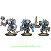 PIP 31074 Cygnar Avenger/Cent/Hammer BOX, Warmachine - фото