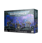 Grey Knights Paladine Squad - фото