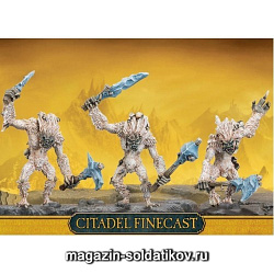 OGRE KINGDOMS YHETEES BOXWarhammer (99810213005) (99810213005)