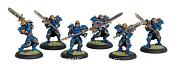 PIP 31019 Cygnar Stormblade Unit Box Warmachine. Фэнтези - фото